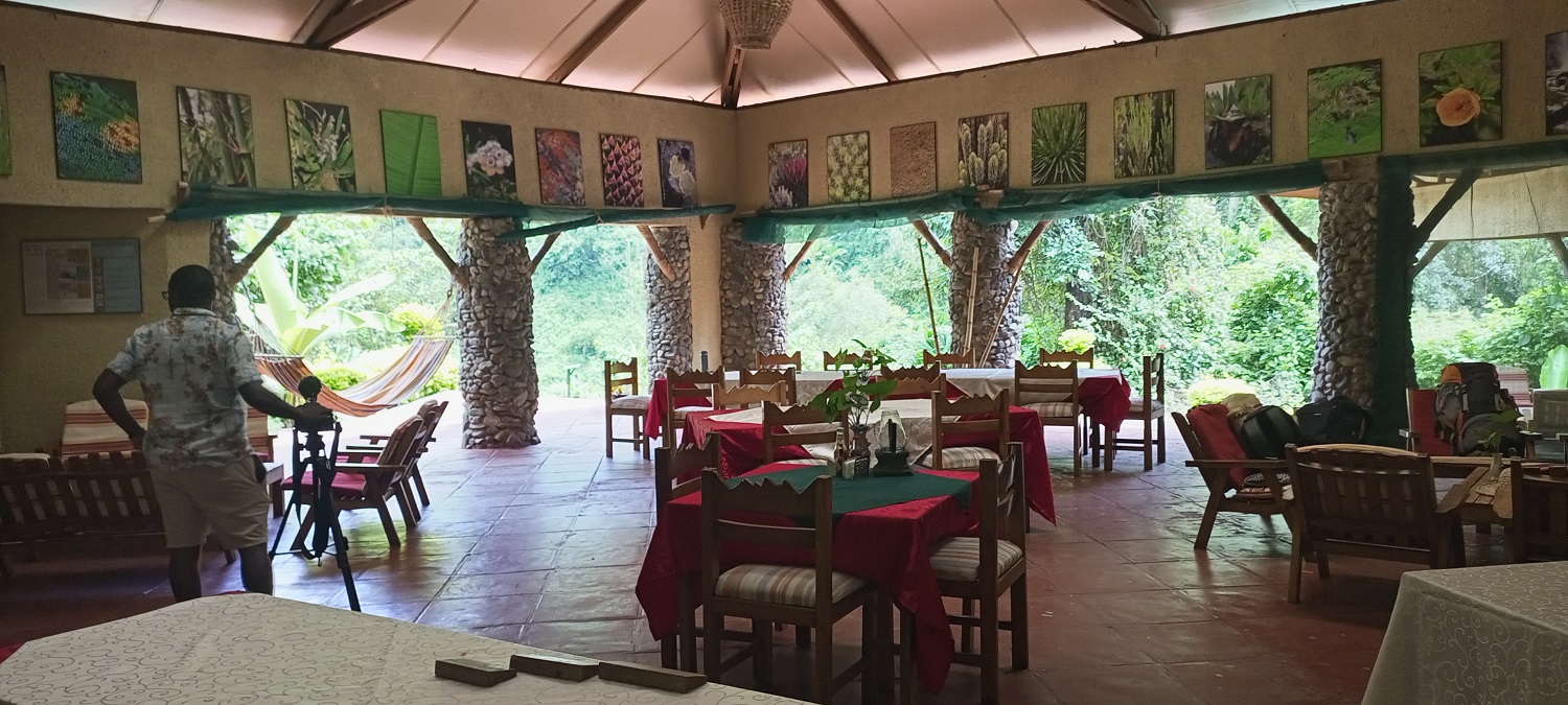 Easy to book and pay, accommodation and activities - your Rwenzori trekking trip.