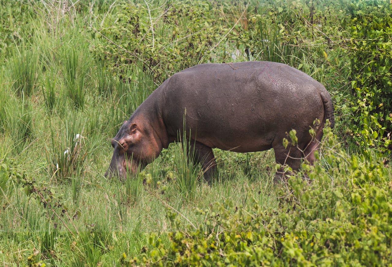 Services pexels-photo-34632508.jpeg