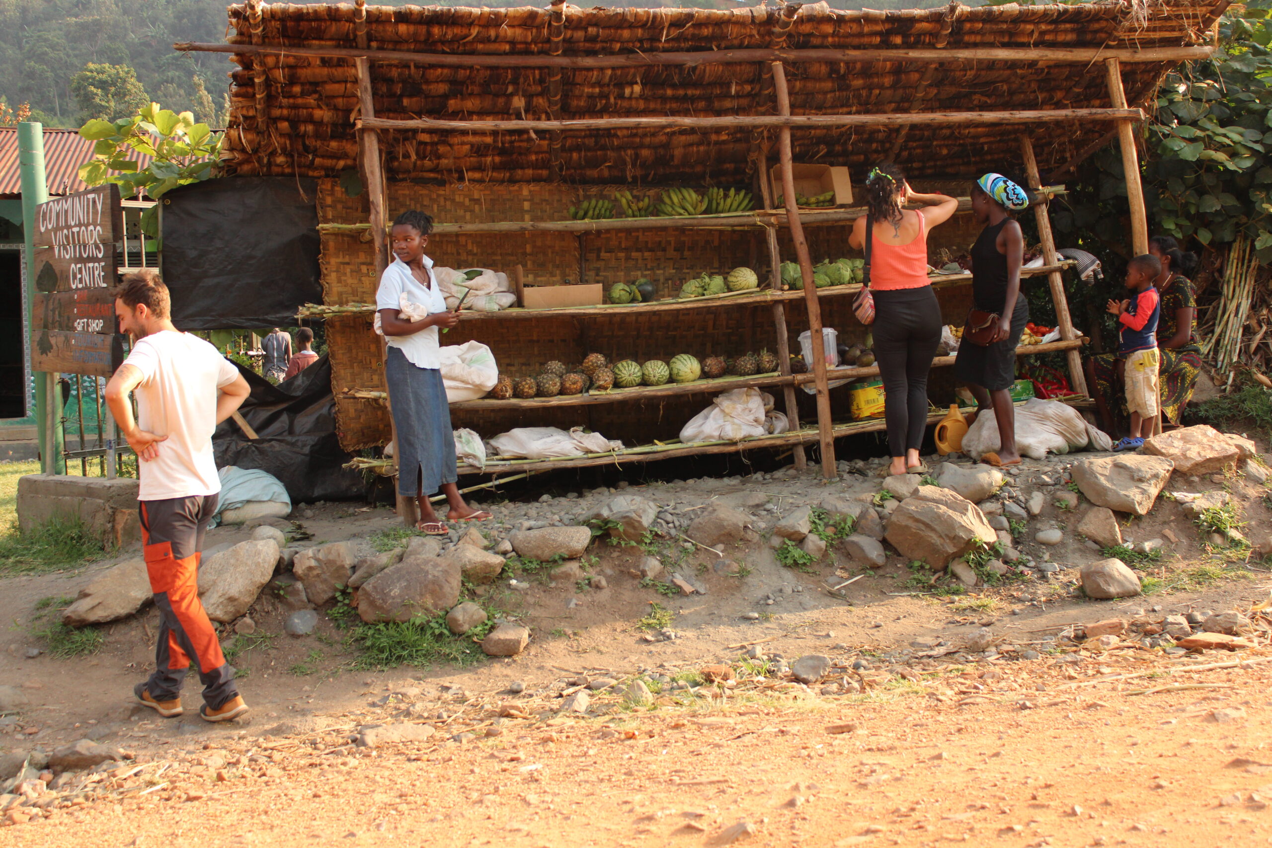 organic food production